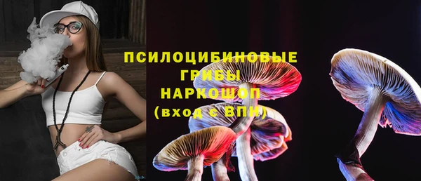 таблы Няндома
