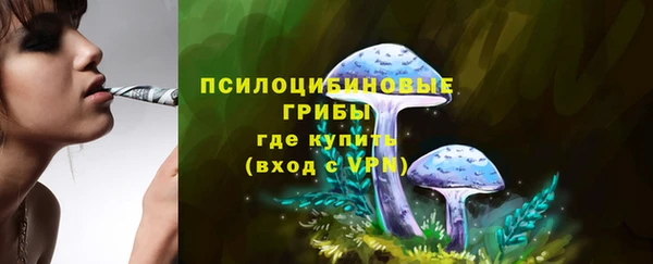 ECSTASY Новокубанск