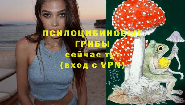 таблы Няндома