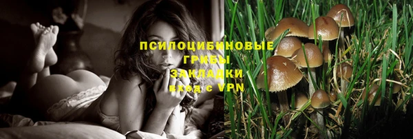 ешки Новозыбков