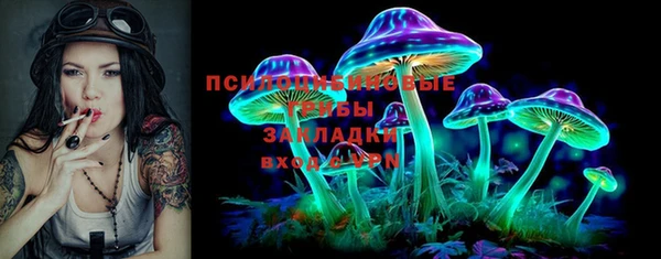 ешки Новозыбков