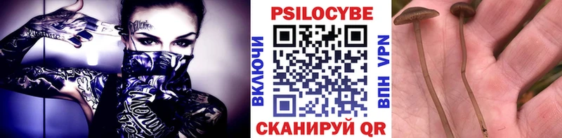 Галлюциногенные грибы Magic Shrooms  Котовск 
