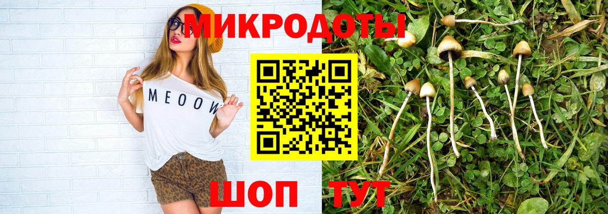 Псилоцибиновые грибы Cubensis  Вход с VPN  Псилоцибиновые грибы мицелий  Котовск 