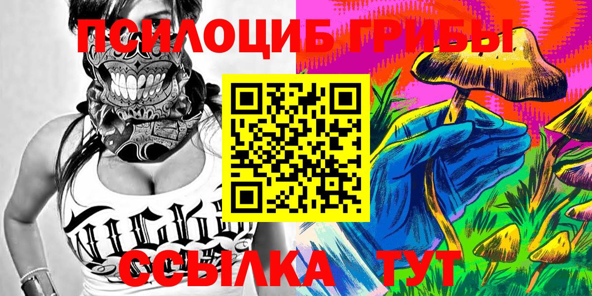 Галлюциногенные грибы Magic Shrooms Котовск