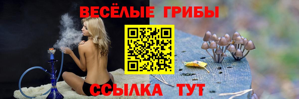 Псилоцибиновые грибы мицелий  Котовск 