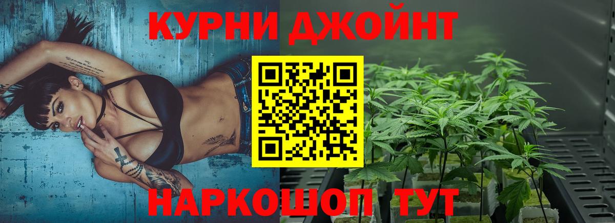 Бошки марихуана MAZAR  Вход с VPN  МАРИХУАНА OG Kush  Котовск  МАРИХУАНА THC 21%  Бошки марихуана план 